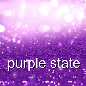 Purple State