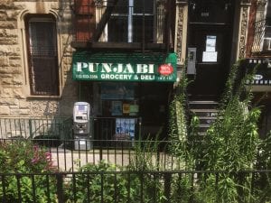 Punjabi deli-cheap place to eat in NYC near English Language institute at pace university