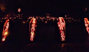 Great Jack O Lantern Blaze uin Westchester features carbed pumpkins in spooky displays 